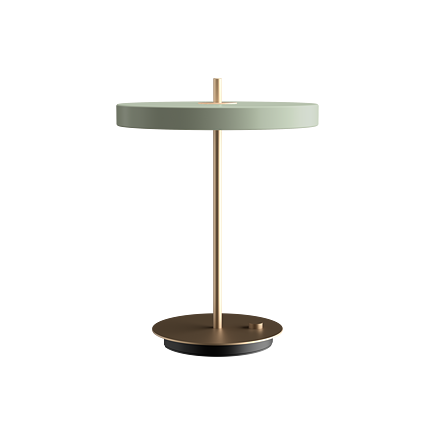 Provedení: olivově zelená